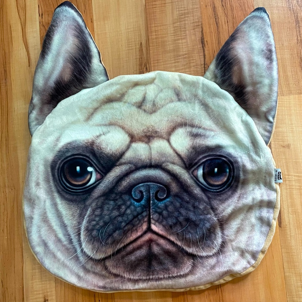 Pug accent pillow case